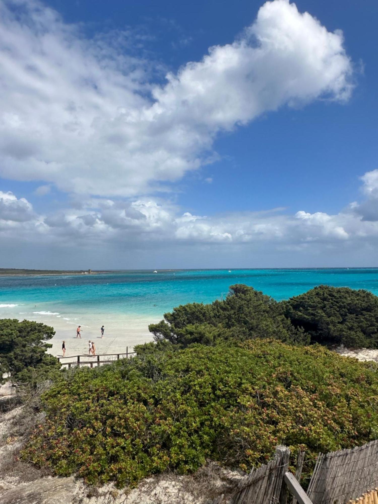Villetta Giulia Fronte Mare Stintino Buitenkant foto